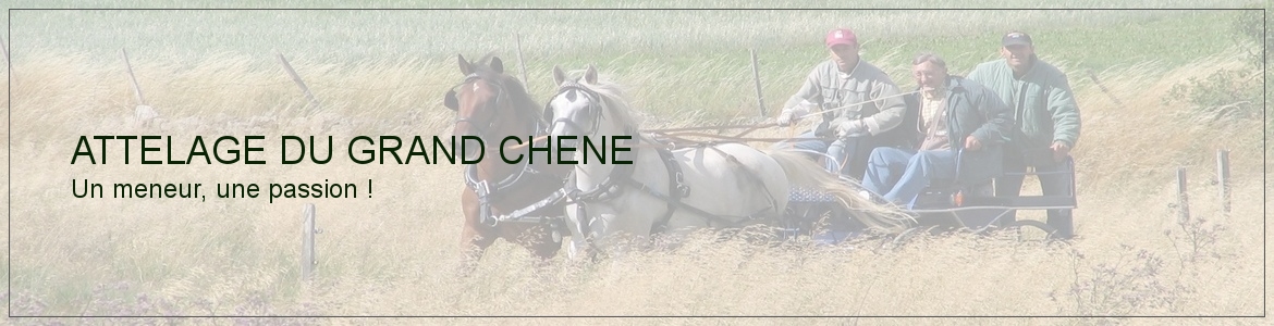 ATTELAGE DU GRAND CHENE